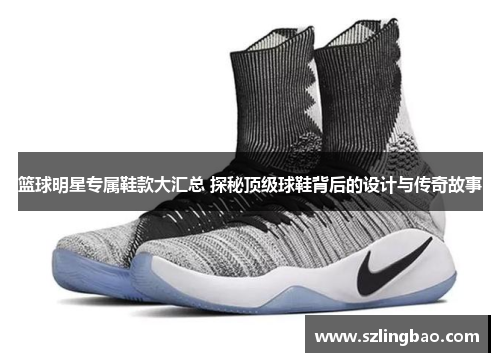篮球明星专属鞋款大汇总 探秘顶级球鞋背后的设计与传奇故事