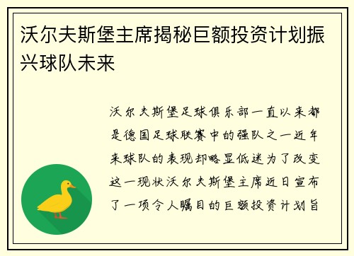 沃尔夫斯堡主席揭秘巨额投资计划振兴球队未来